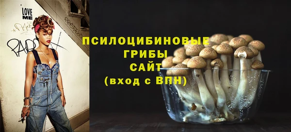 COCAINE Краснослободск