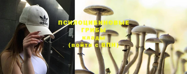 гидропоника Красноперекопск