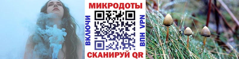 Псилоцибиновые грибы Cubensis  Купить закладки  Тайга 